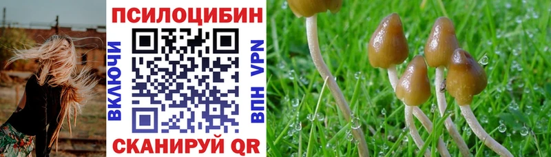 Псилоцибиновые грибы ЛСД  Верхотурье 